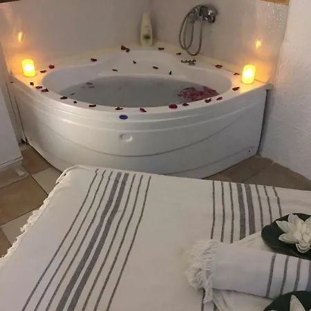 Hotel Ikarus 3*